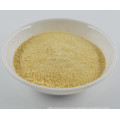 Dehydrated Yellow Onion Powder